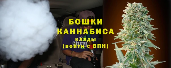 амф Осташков