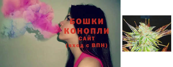 амф Осташков