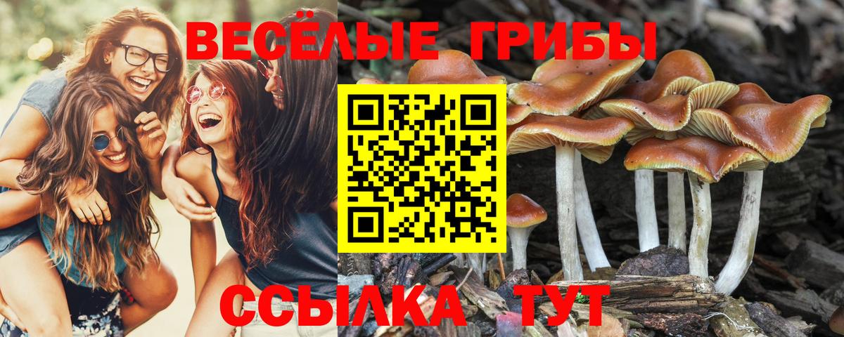 Галлюциногенные грибы Magic Shrooms Полевской