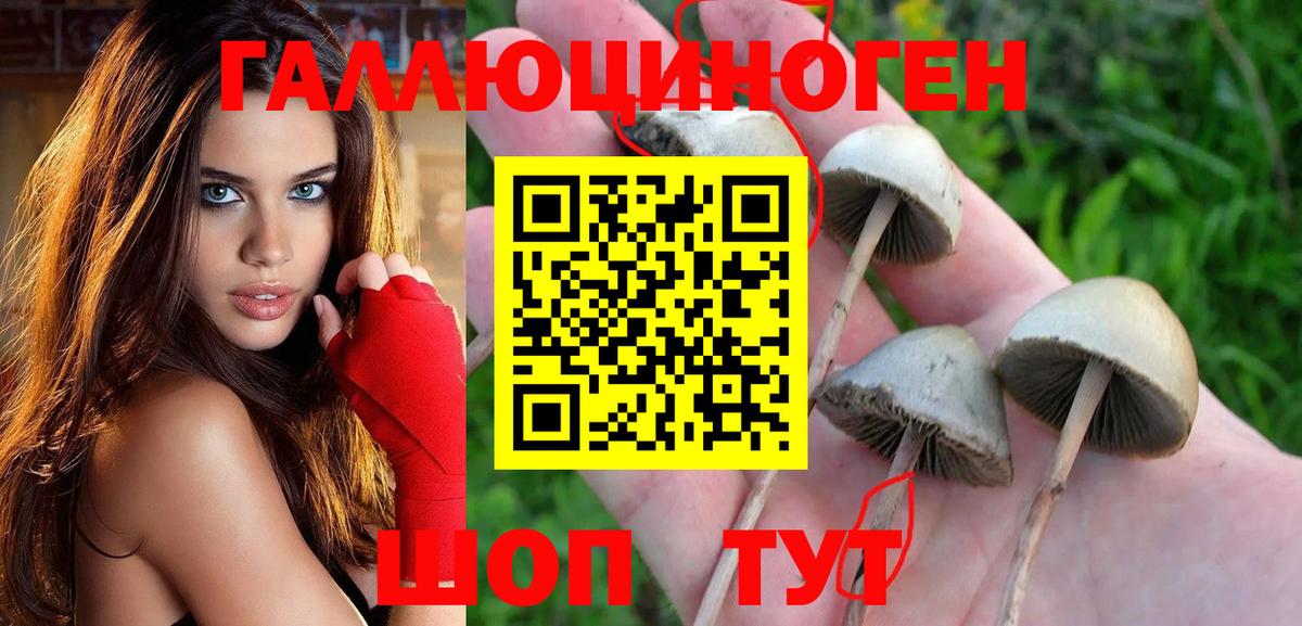 Полевской  Галлюциногенные грибы Magic Shrooms  Вход с VPN 